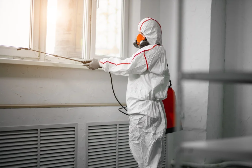 Professional mold remediation services in Raymond, NH